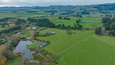/international/nz/29-twin-peaks-grove-levin-horowhenua-380066084605/