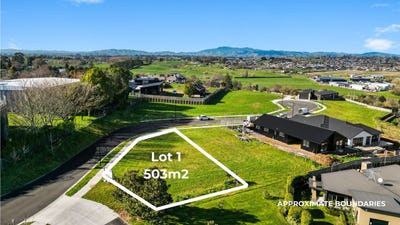 /international/nz/411-greenhill-drive-te-awamutu-waipa-380066077720/