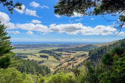 /international/nz/115-kaitawa-road-otaki-kapiti-coast-380066096326/