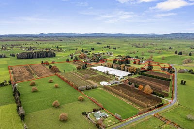 /international/nz/1972-te-rahu-road-te-awamutu-waipa-380066077268/
