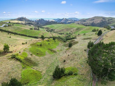 /international/nz/ohauiti-tauranga-380066090803/