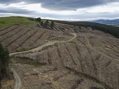 /international/nz/310-gerrard-road-dipton-southland-380066078235/