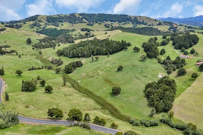 /international/nz/0-pipiwai-road-kokopu-whangarei-380066084921/