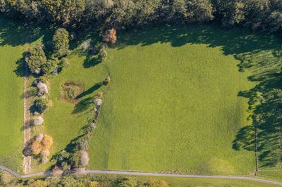 /international/nz/ohau-western-bay-of-plenty-380066123213/