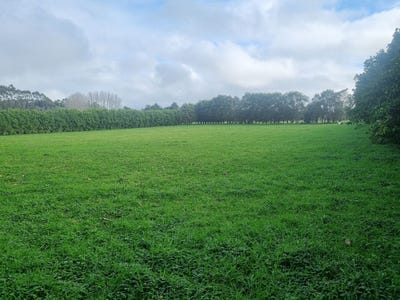 /international/nz/waiare-road-okaihau-far-north-380066089650/