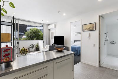 /international/nz/22-fisher-point-drive-freemans-bay-auckland-city-380066177520/