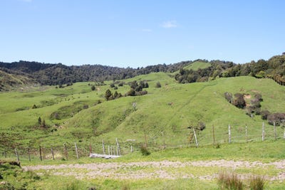 /international/nz/262-waitaanga-north-road-ohura-ruapehu-380066079485/