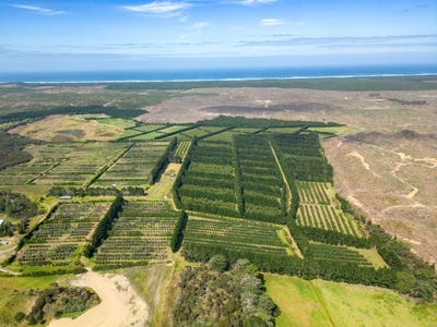 /international/nz/373-kimberley-road-houhora-far-north-380066082070/