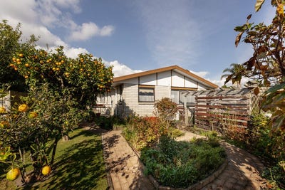 /international/nz/maungatapu-bay-of-plenty-380066093838/