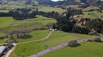 /international/nz/dannevirke-tararua-380066114540/