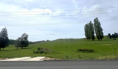 /international/nz/99-william-street-te-kuiti-waitomo-380066111660/