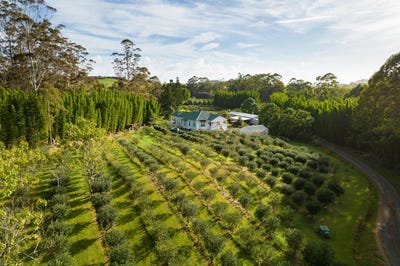 /international/nz/70-pukeko-lane-kerikeri-far-north-380066099639/
