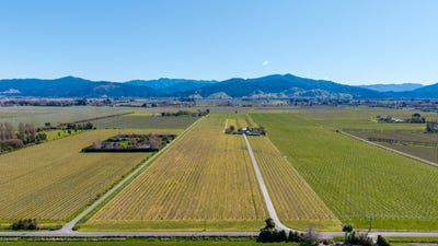 /international/nz/grovetown-marlborough-380066084978/