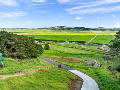 /international/nz/kauri-whangarei-380066101737/