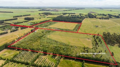 /international/nz/240-karanga-road-dunsandel-selwyn-380066082546/
