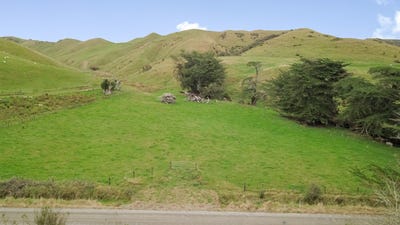 /international/nz/438-mangaoranga-road-eketahuna-tararua-380066079672/