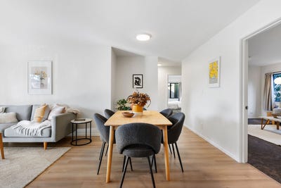 /international/nz/albany-north-shore-city-380066098904/