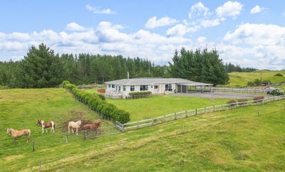 /international/nz/ngongotaha-rotorua-380066104103/