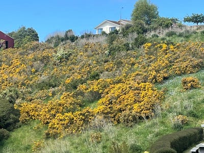 /international/nz/oamaru-waitaki-380066084215/
