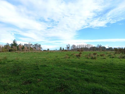 /international/nz/174-powerhouse-road-westport-buller-380066112873/