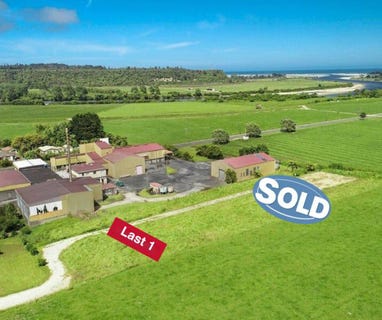 /international/nz/11-oparara-road-karamea-buller-380066091848/