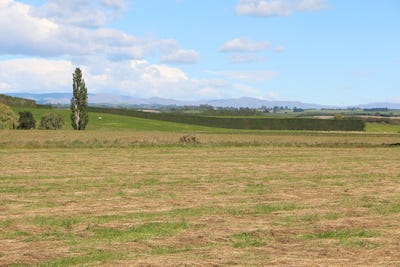 /international/nz/rosewill-timaru-380066077843/