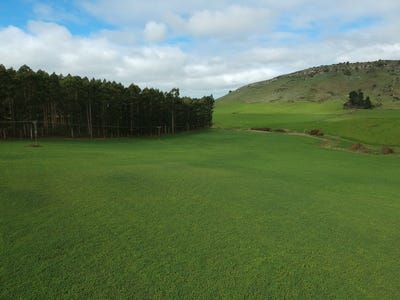 /international/nz/enfield-and-surrounds-waitaki-380066081568/