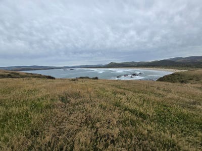 /international/nz/0-cannibal-bay-rd-owaka-clutha-380066124513/