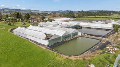 /international/nz/133-jesmond-road-drury-papakura-380066092826/
