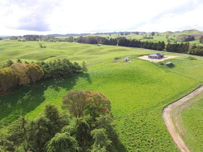 /international/nz/1597-taihape-road-sherenden-hastings-380066098977/
