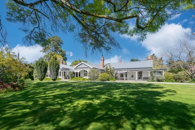/international/nz/581-thompsons-track-rakaia-ashburton-380066118098/