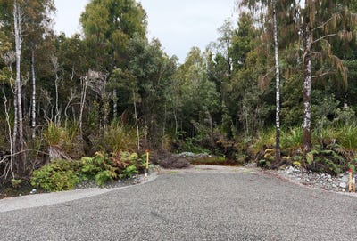/international/nz/kumara-westland-380066120209/
