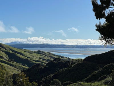/international/nz/kawhia-otorohanga-380066085646/