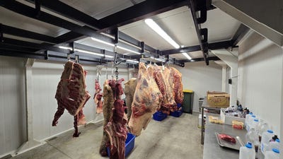 /international/nz/waikuku-waimakariri-380066149542/