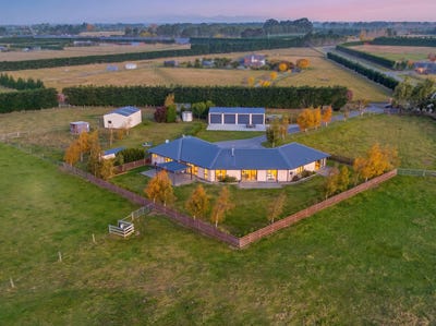 /international/nz/tupelo-place-swannanoa-canterbury-380066088565/