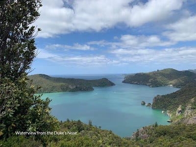 /international/nz/wairakau-road-taupo-bay-totara-north-far-north-380066118309/