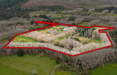 /international/nz/87-croft-lane-riverhead-rodney-380066177598/