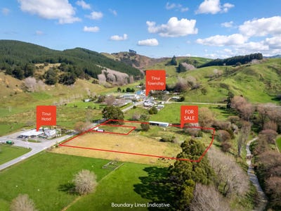 /international/nz/tinui-masterton-380066109269/