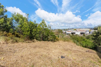 /international/nz/35-alanbrooke-crescent-avondale-christchurch-city-380066082706/