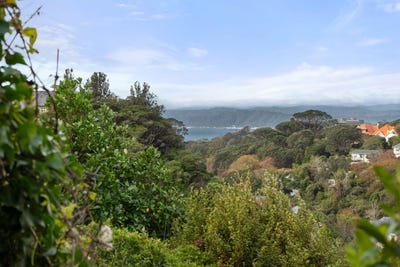 /international/nz/8-northland-road-northland-wellington-city-380066098815/