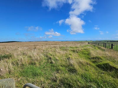 /international/nz/1-basin-road-dargaville-surrounds-kaipara-380066145581/