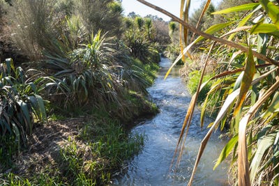 /international/nz/351-scotsman-valley-road-tauwhare-waikato-380066079808/