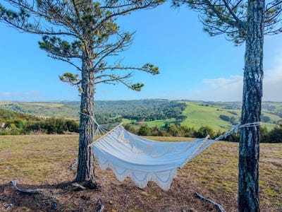 /international/nz/284c-mangakaretu-road-kerikeri-far-north-380066086385/