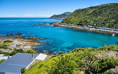 /international/nz/island-bay-wellington-city-380066097169/