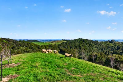 /international/nz/115-sonja-drive-hunua-franklin-380066099339/