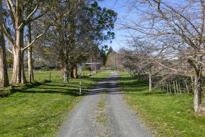 /international/nz/wairakei-and-surrounds-taupo-380066081266/