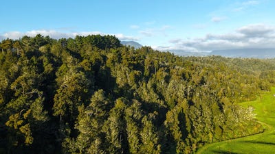 /international/nz/karamea-buller-380066098909/