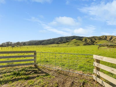 /international/nz/levin-horowhenua-380066084138/