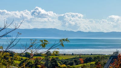 /international/nz/6-titoki-way-waiau-pa-franklin-380066121459/