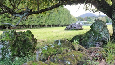 /international/nz/0-brenda-gardner-way-maunu-whangarei-380066177685/